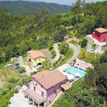 Вилла I Gelsi E I Castagni Polverara Экстерьер фото